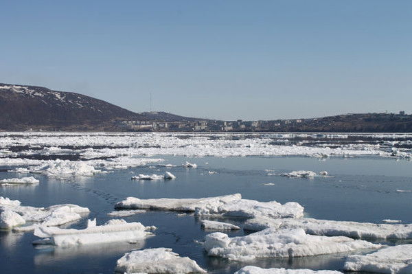 Наталья Соколянская