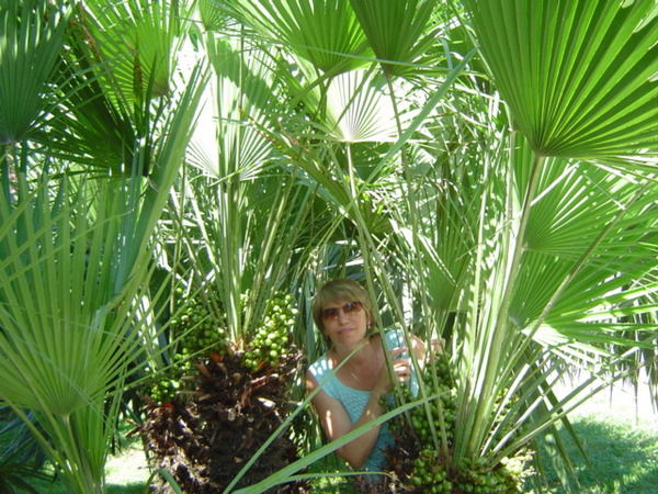 Татьяна Петухова