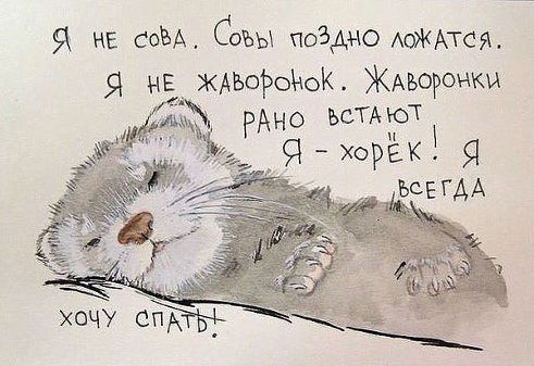 Аня Дуданова