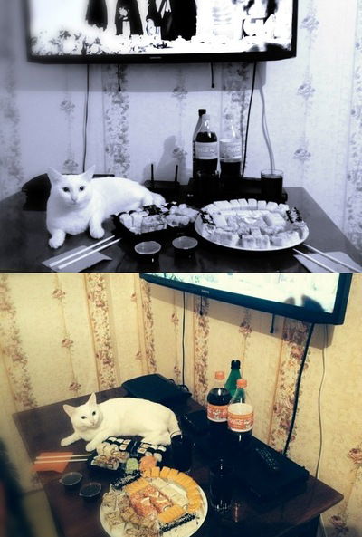 Диана Унгуреану