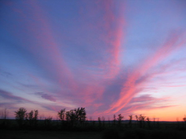 Ольга Эрнст