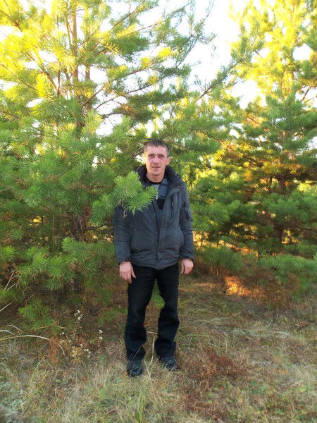 Максим Соснин Нф