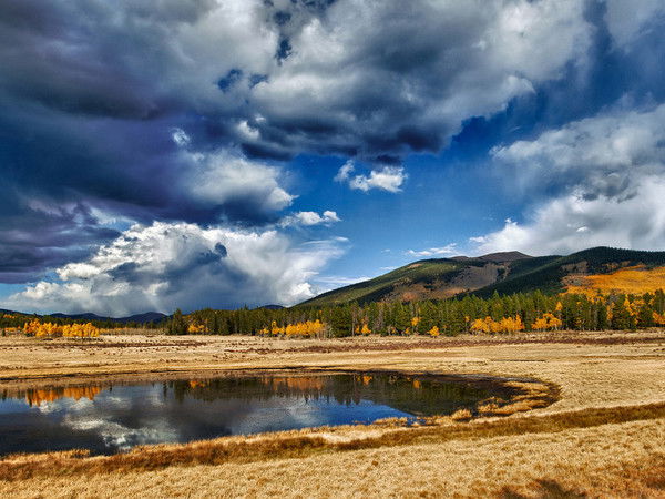 Никита Медведев