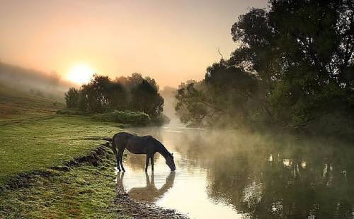 Татьяна Ласковая