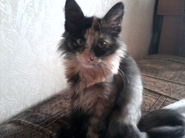 Галина Варфоломеева