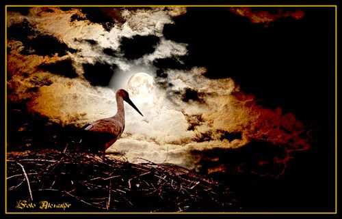 Евростройхолдинг Ооо