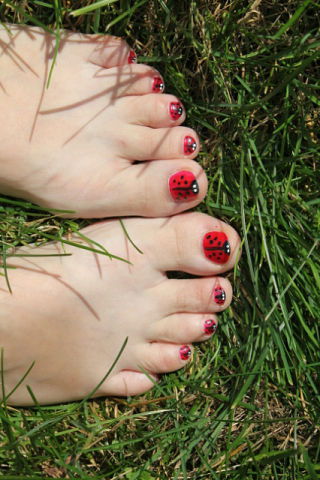 Екатерина Шевцова