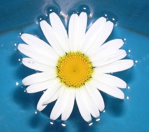 Ольга Матвеева