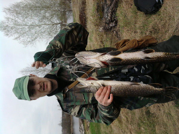 Дима Анейчик