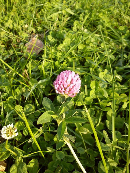 Зайтуна Ибракова