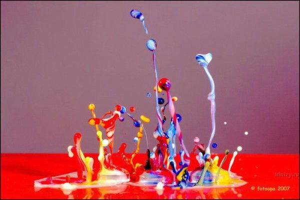 Алена Соколкина