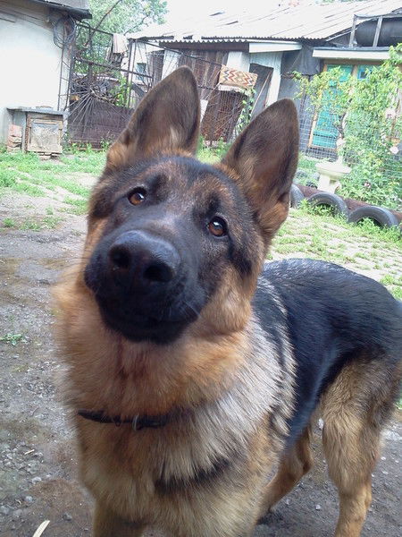 Светлана Светлана