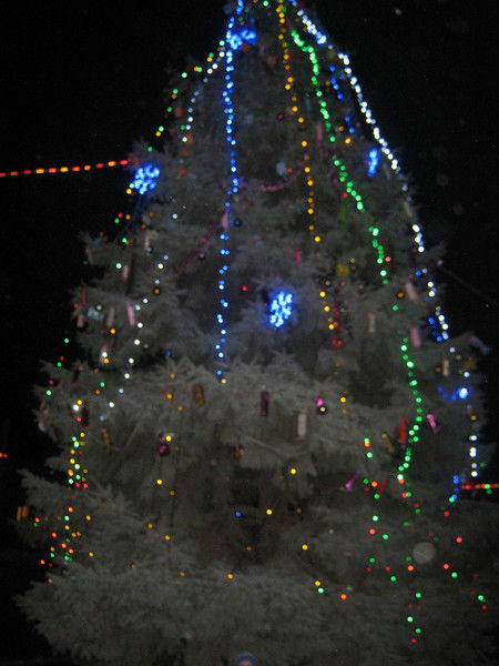 Олеся Сорокина