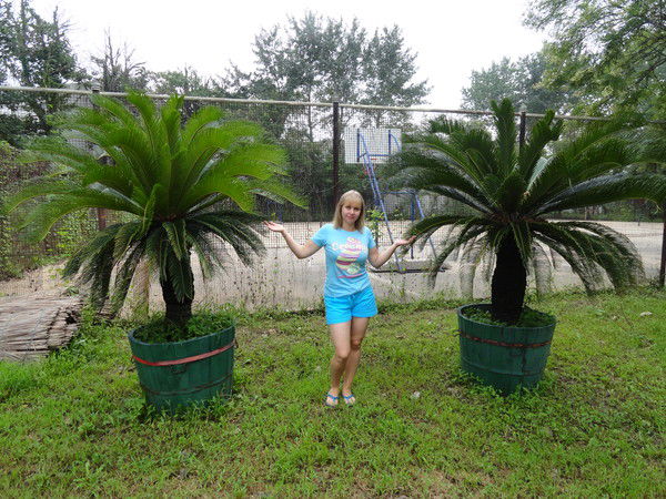 Ольга Ильина (Кокуева)