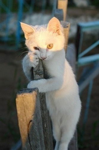 Екатерина Разуваева