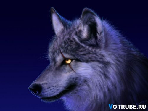 Денис Малышев