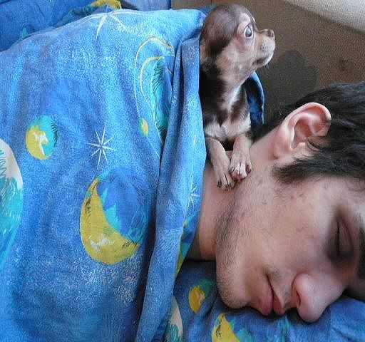 Роман Бабаков