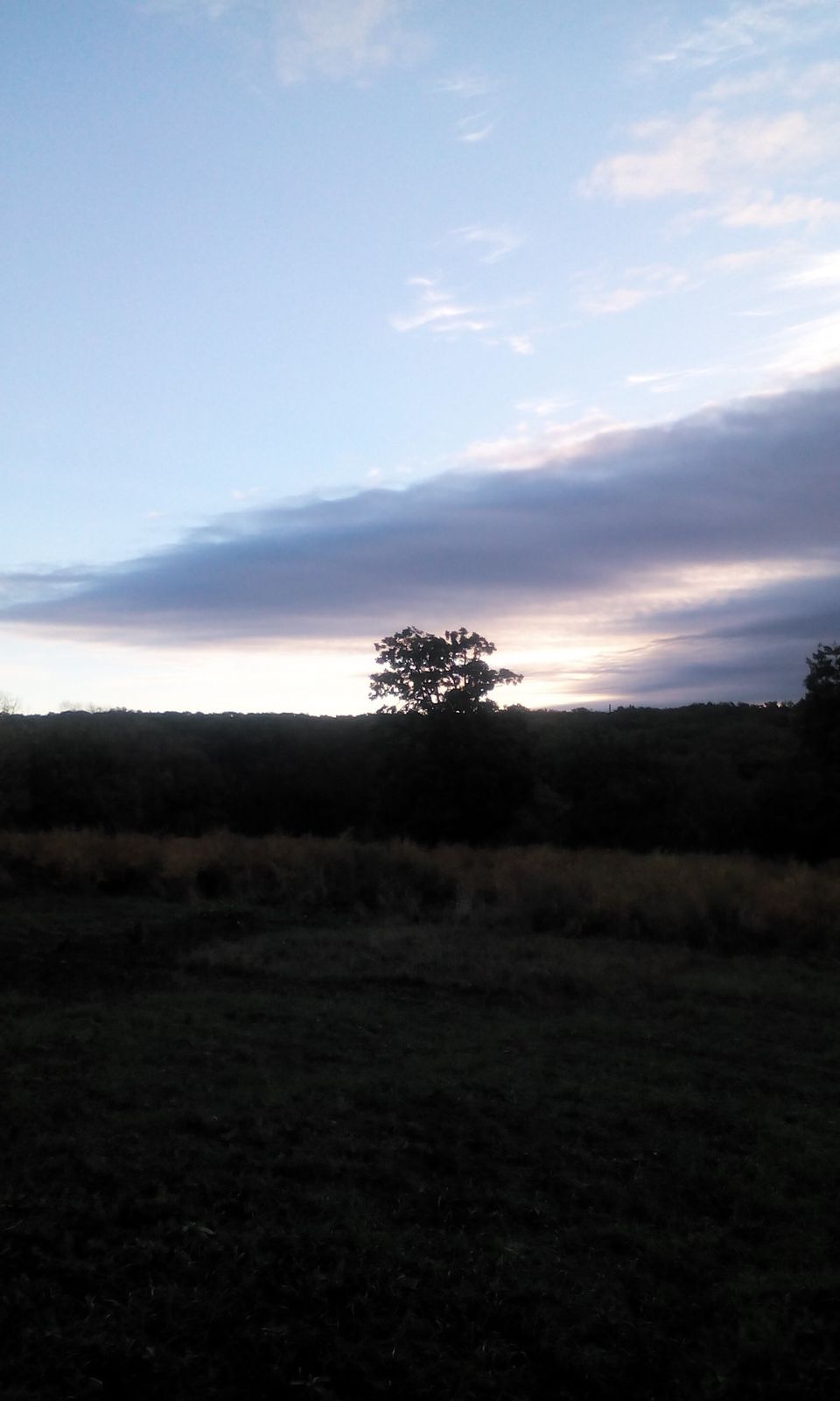 Vladimir Vаler'yevich