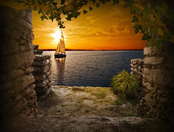 Елена Савицкая