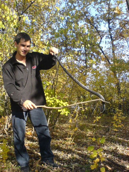 Александр Мясников