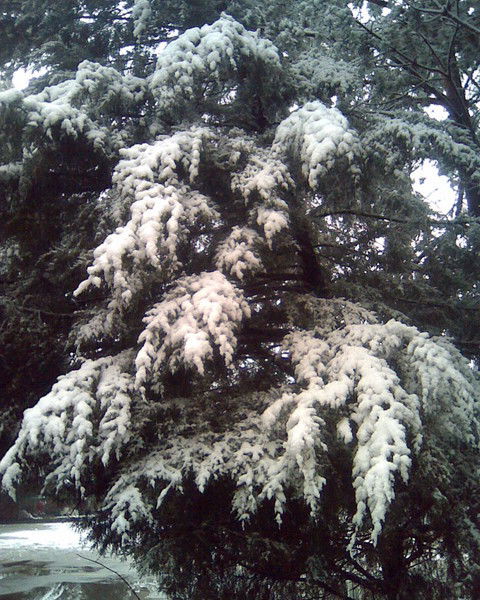 Виктория Ерофеева