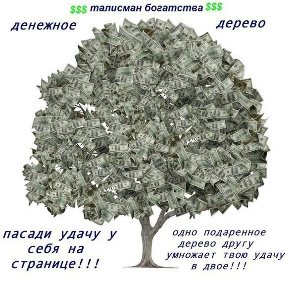 Майра Султанова (Лукпанова)