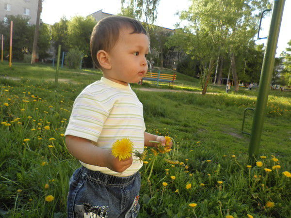 Нилюфар Кадырова