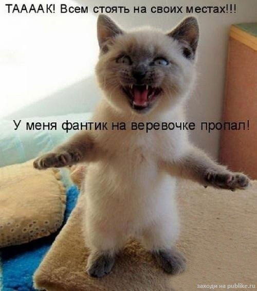 Эльдар Митрохин