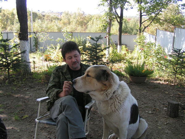 Александр Алюшин