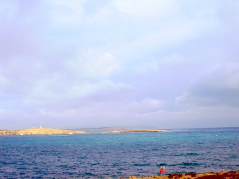 Татьяна Губанова