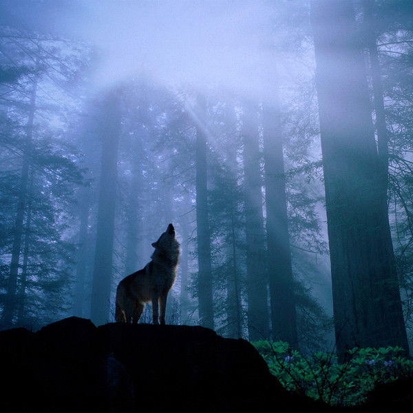 Родион Родионов