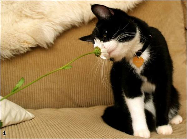 Аня Крыжова