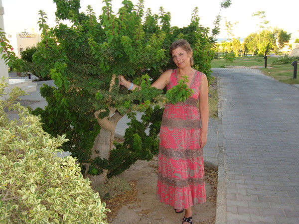 Елена Рыдикова