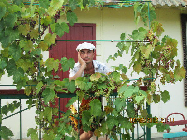 Алексей Терехов