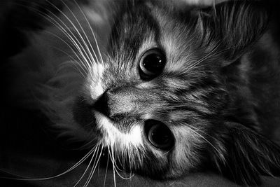 Ольга Сидоренко