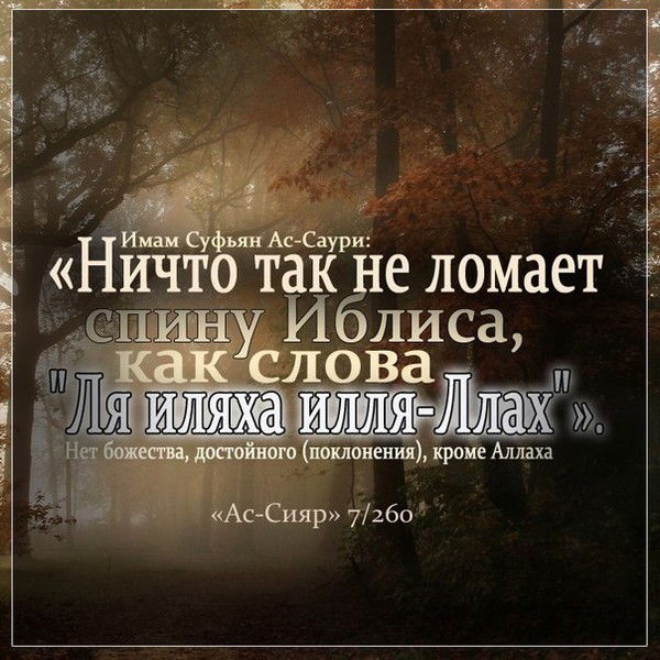 Таир Абдрахманов