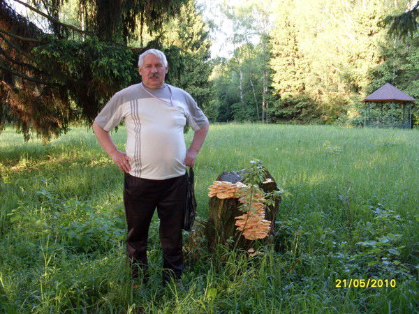 Геннадий Борисов