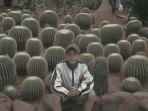 Герман Ведерников