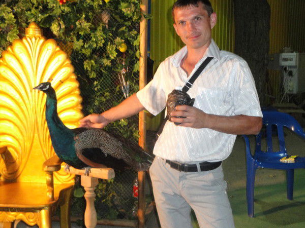 Александр Прилипский