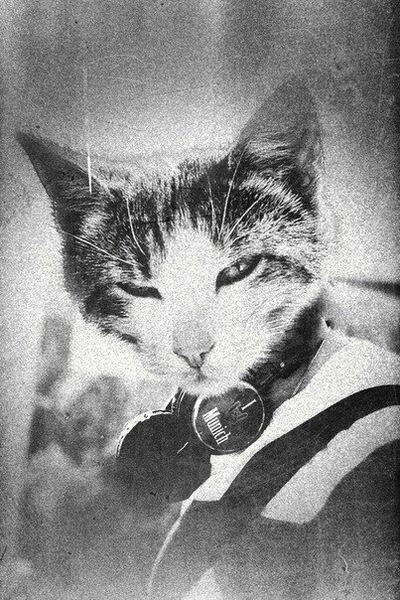 Алексей Громов