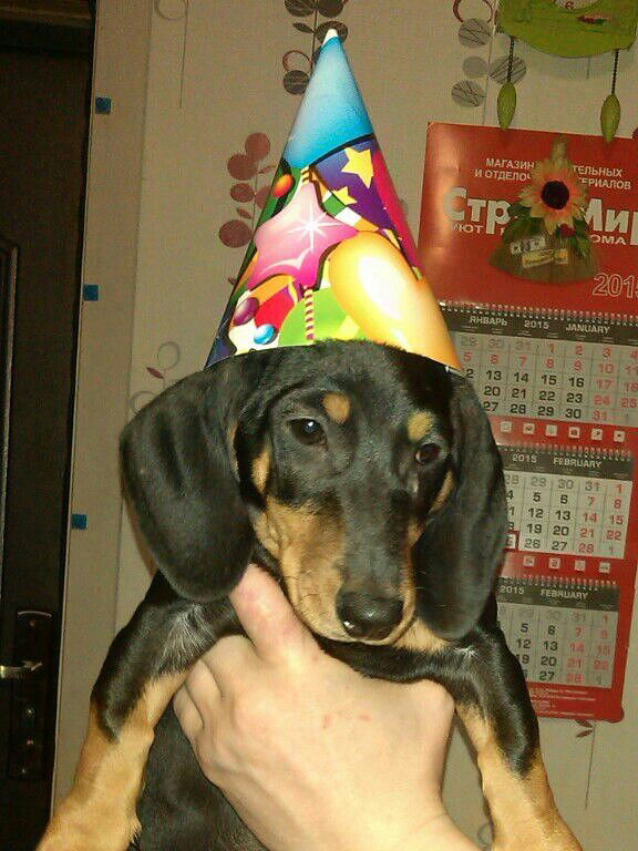 ВОЛОДЯ ИВАХНОВ