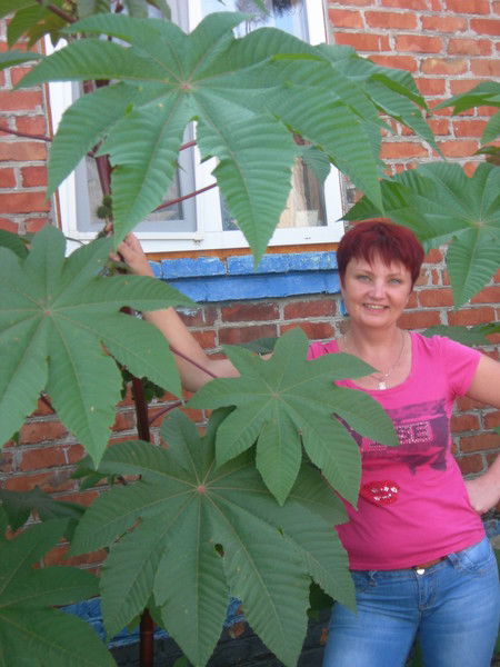 Наталия Каминская