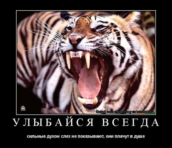 Олег Олейник