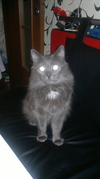 Игорь Поляков