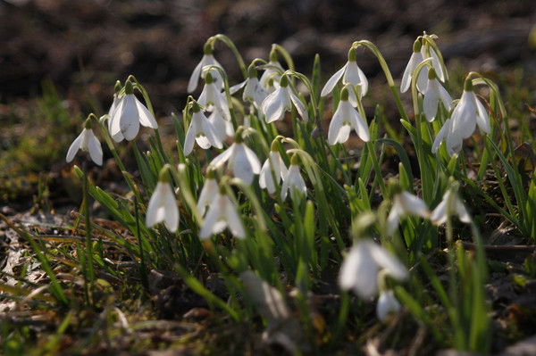 Галина Егорова