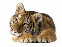 Виталий Попов