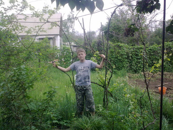 Данил Кудрявцев