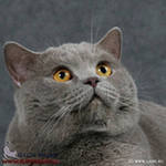 Рауль Тухватуллин