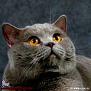 Рауль Тухватуллин