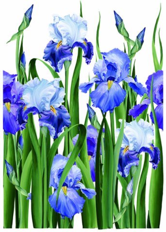 Интернет-Магазин Ирис